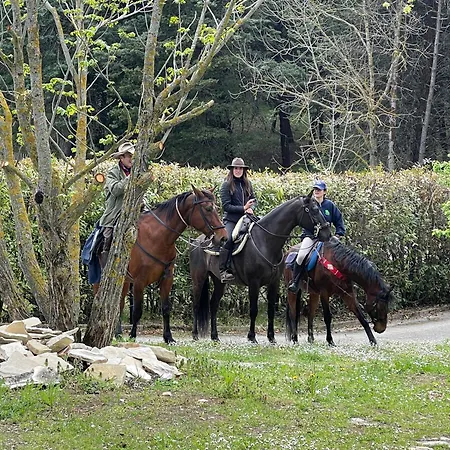 Il Sentiero Dei Goti